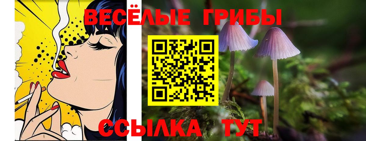 Галлюциногенные грибы прущие грибы Саранск
