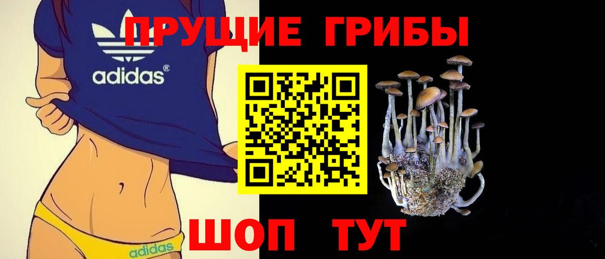 Галлюциногенные грибы мухоморы  закладка  Саранск  Вход с VPN 